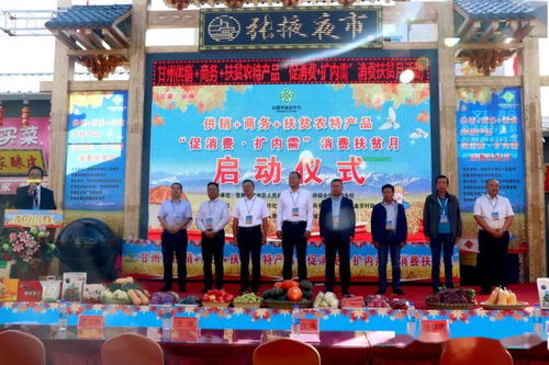 甘州區(qū)多措并舉促消費(fèi)擴(kuò)內(nèi)需，消費(fèi)扶貧月活動助力鄉(xiāng)村振興